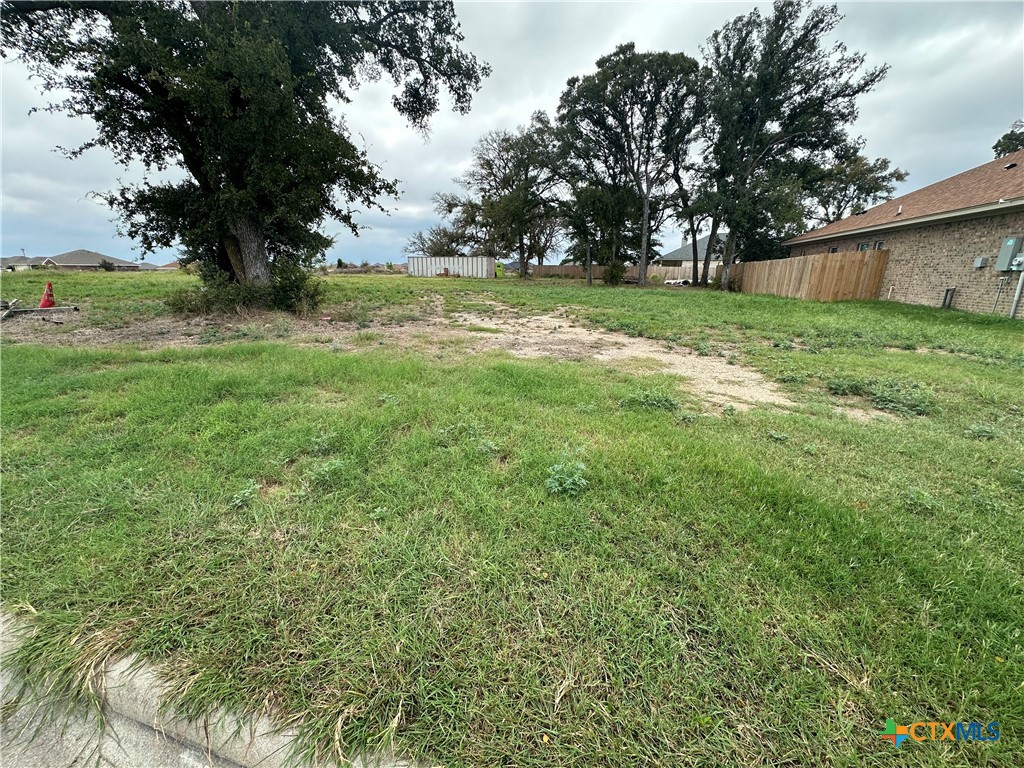 a view of a backyard with large trees