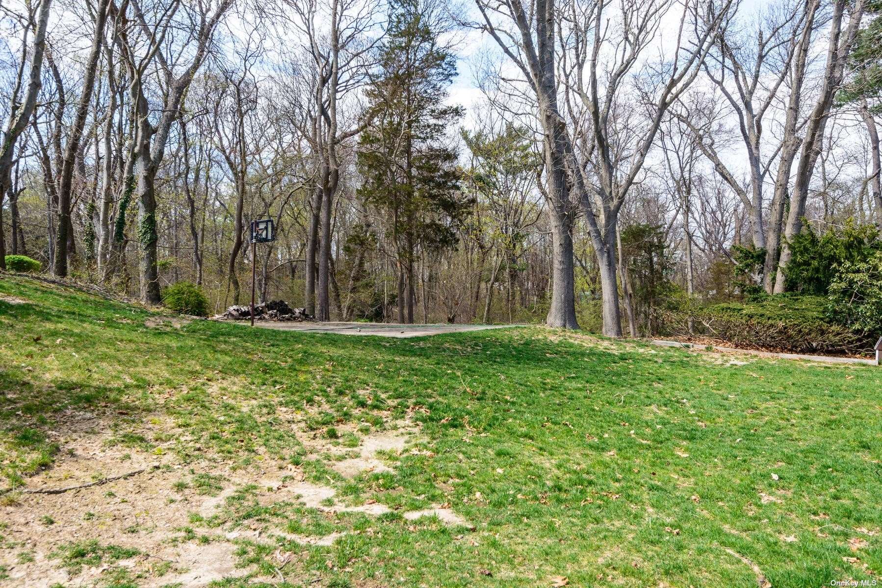 a view of backyard with large trees