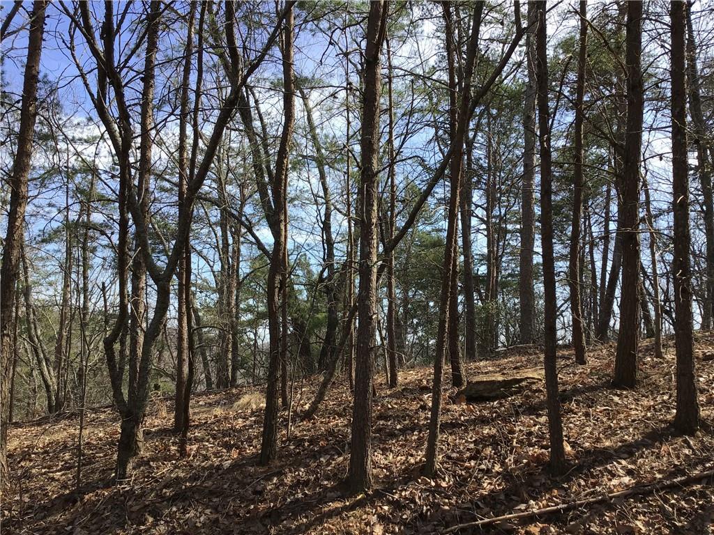 a view of outdoor space with lots of trees