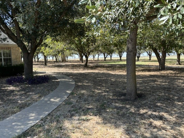 a view of a yard with trees