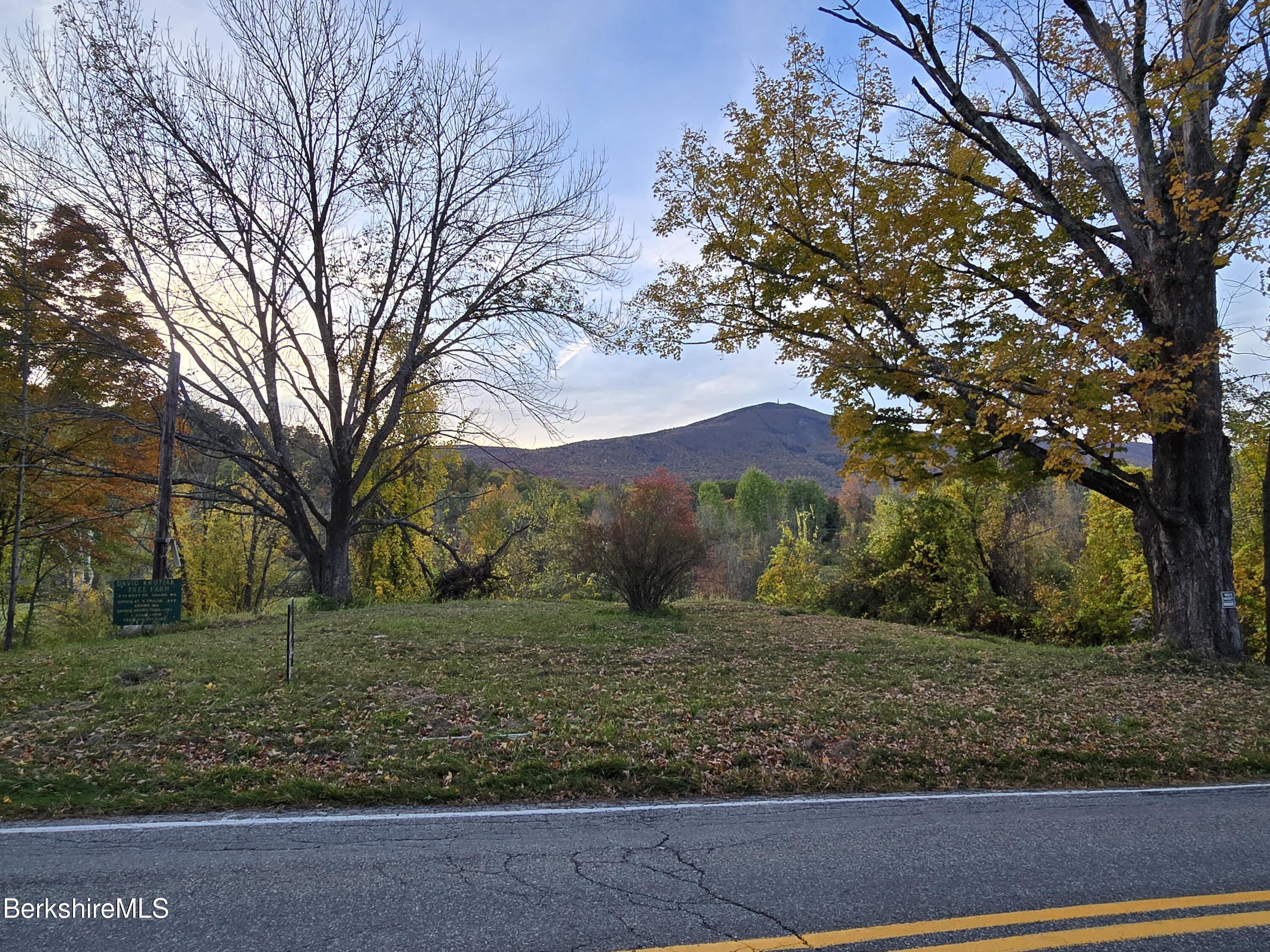 a view of a yard with a tree