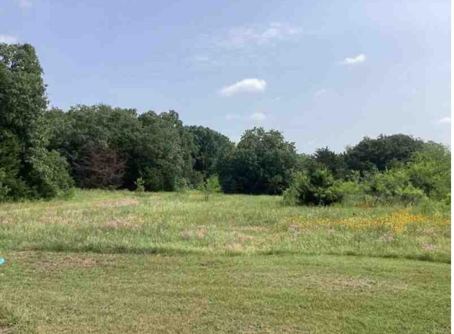 a view of a field with an trees