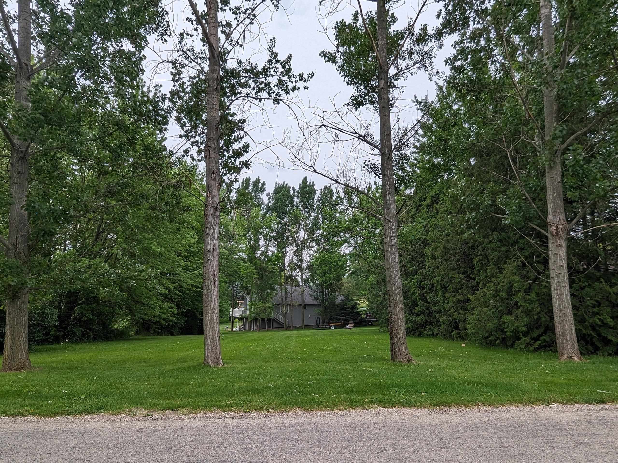 a green field with lots of trees in it