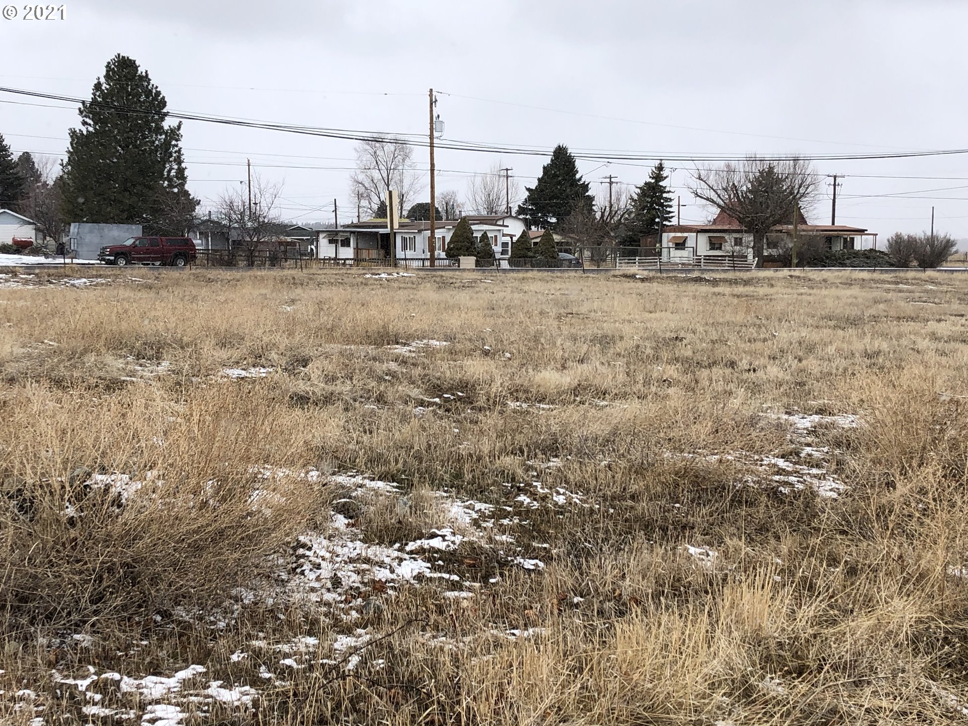 a view of a dry yard with trees