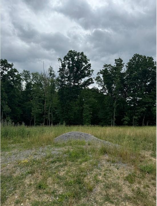 a view of a grassy field with trees in the background