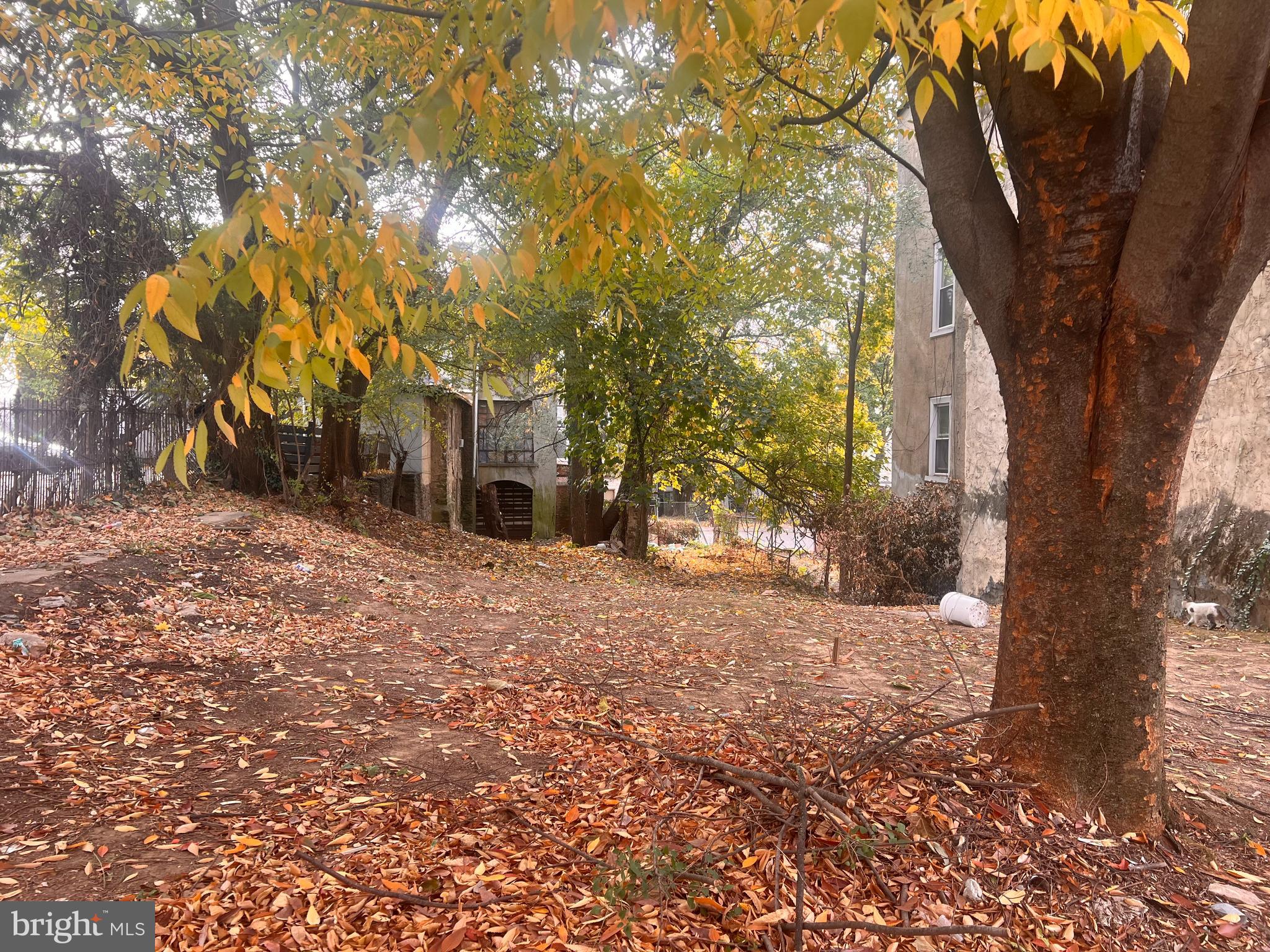 a view of a yard with trees