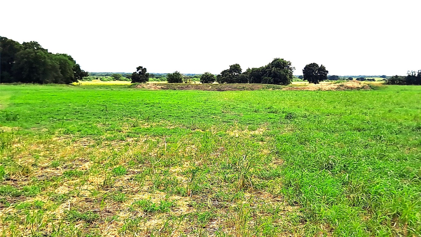 a view of a garden