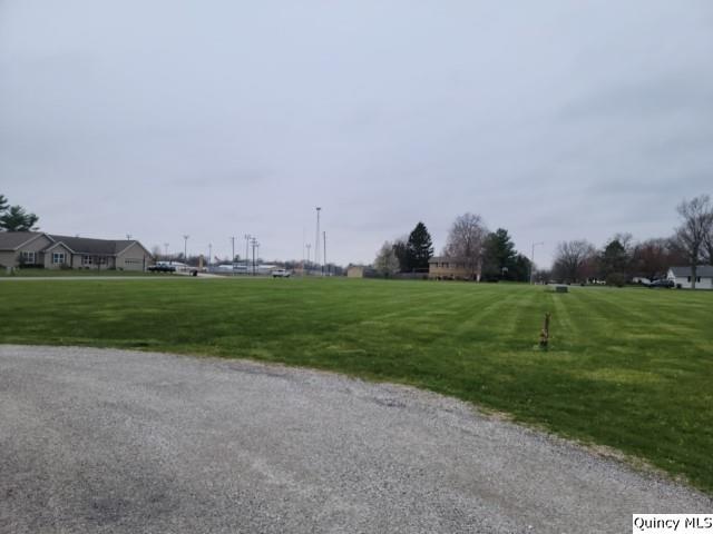 a view of a field with grass and trees