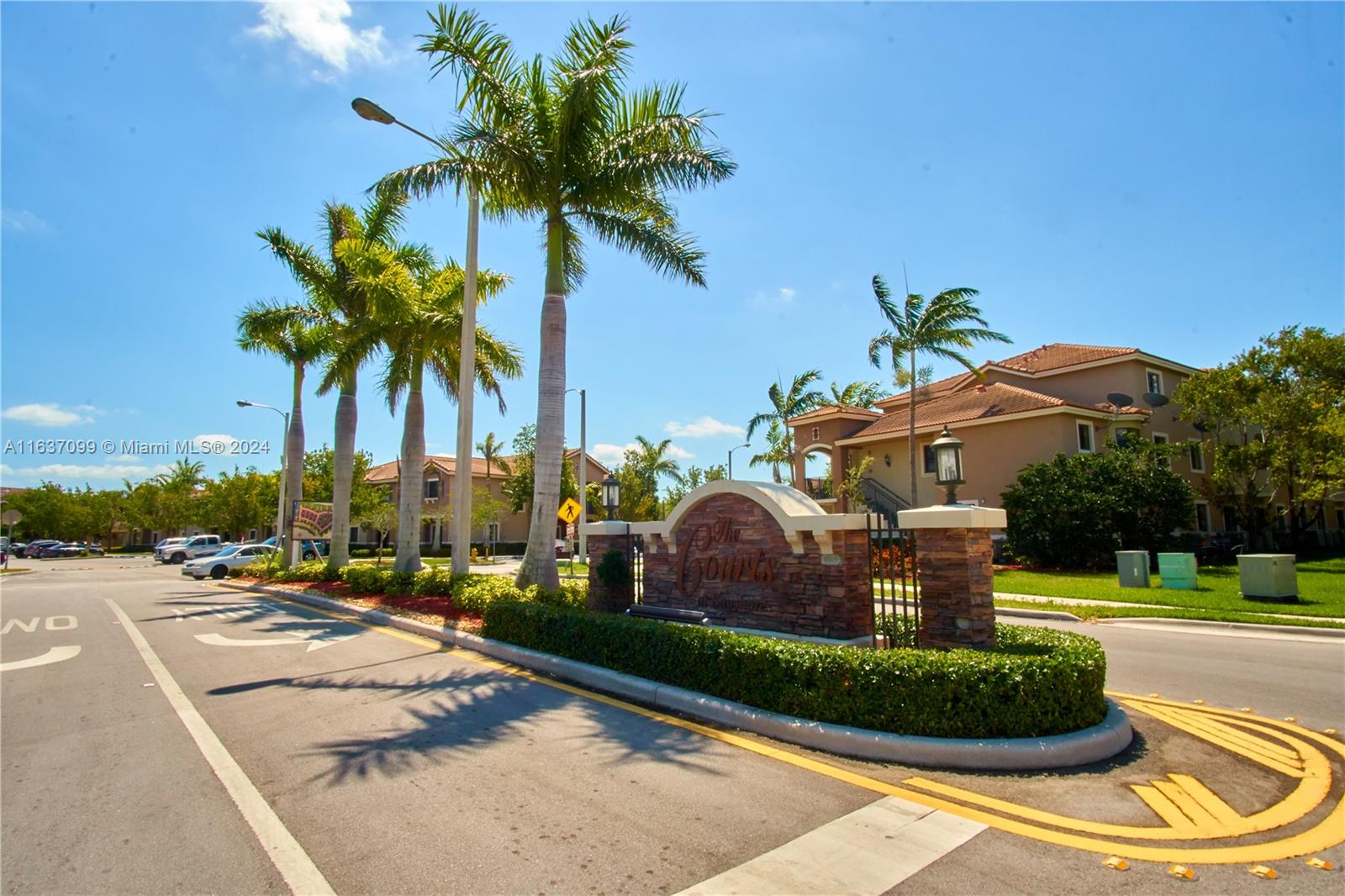 a view of a backyard with plants and palm tree