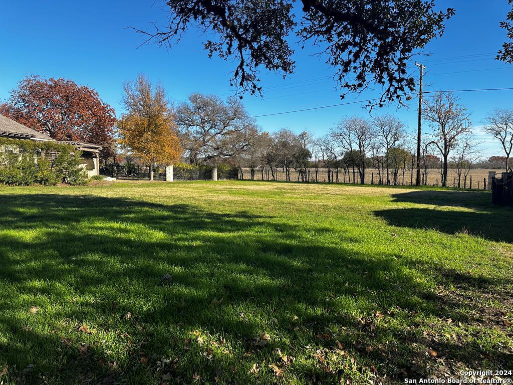 a view of a grassy field with trees