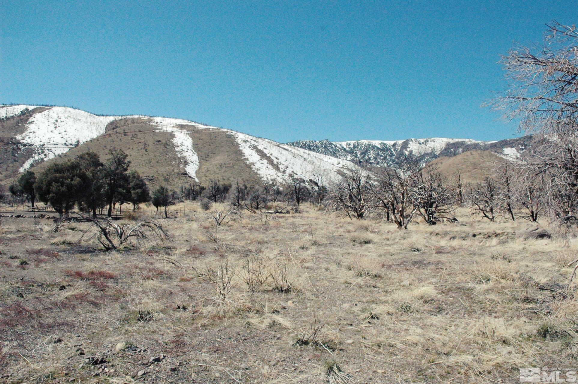 a view of a dry yard