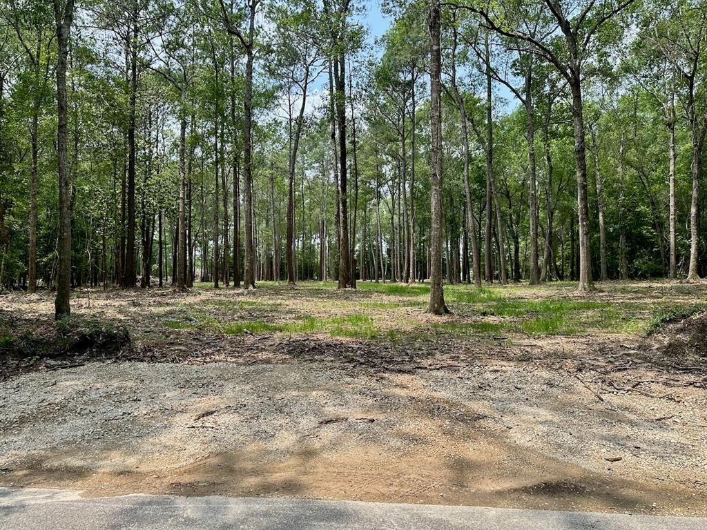 a view of outdoor space with trees