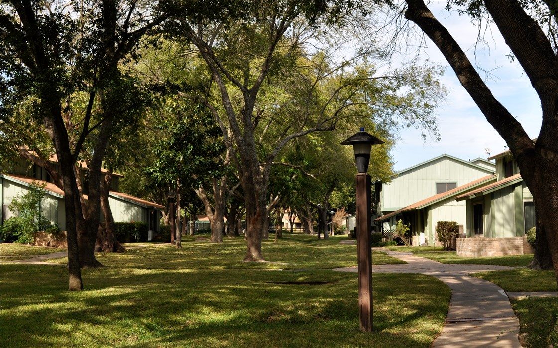 a view of a trees in front of a house