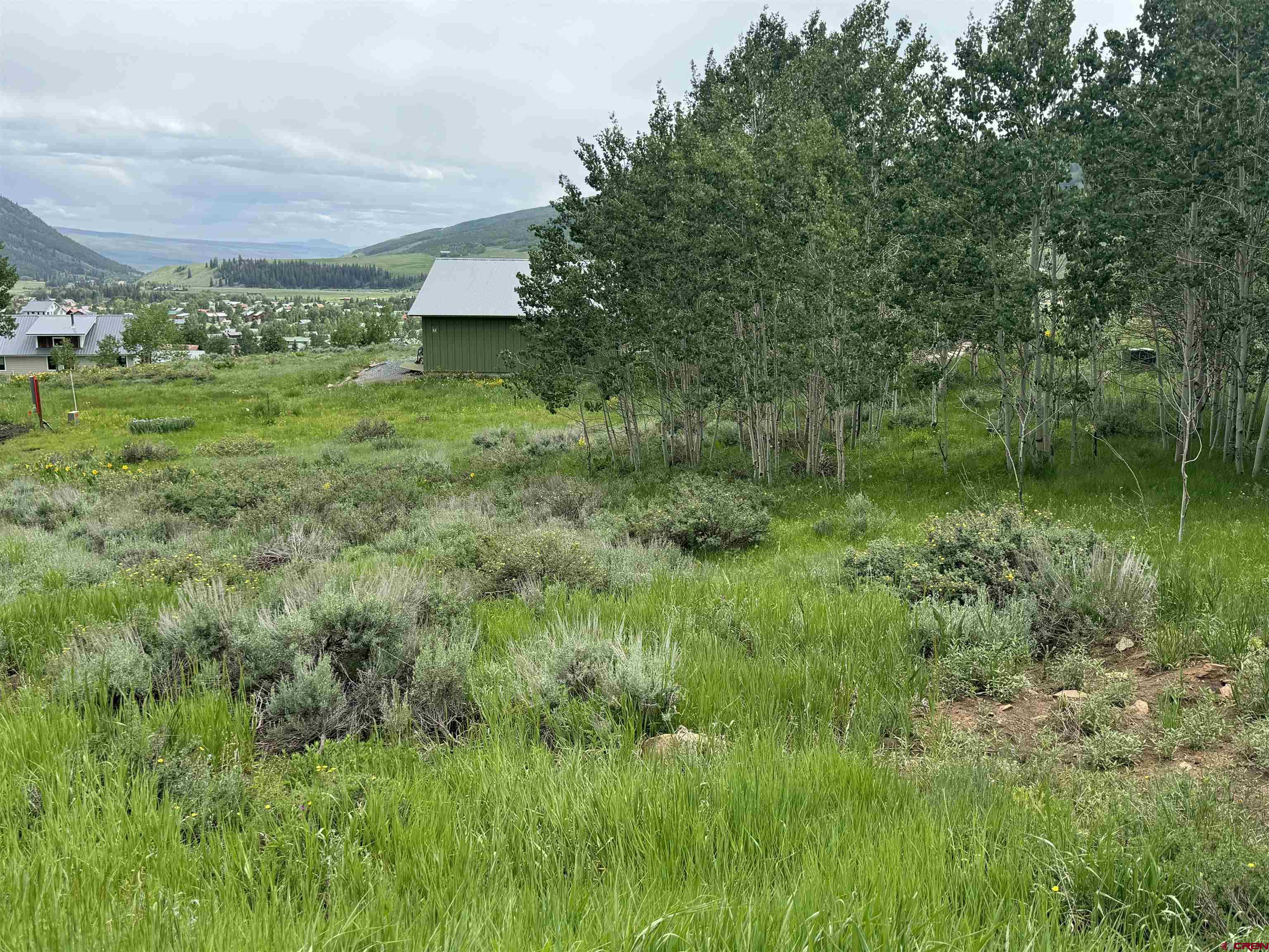 a view of a lush green space