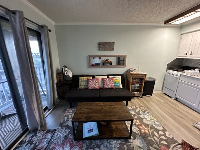 a living room with furniture and a rug