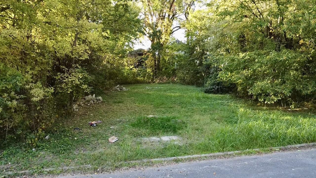 a view of yard with green space