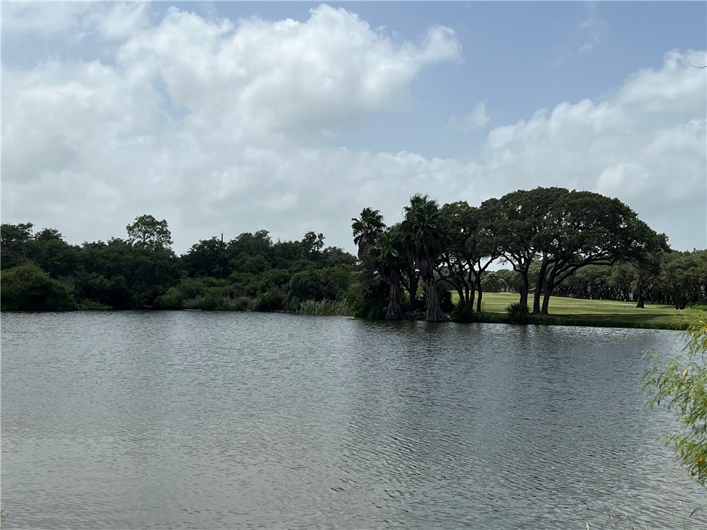 a view of a lake