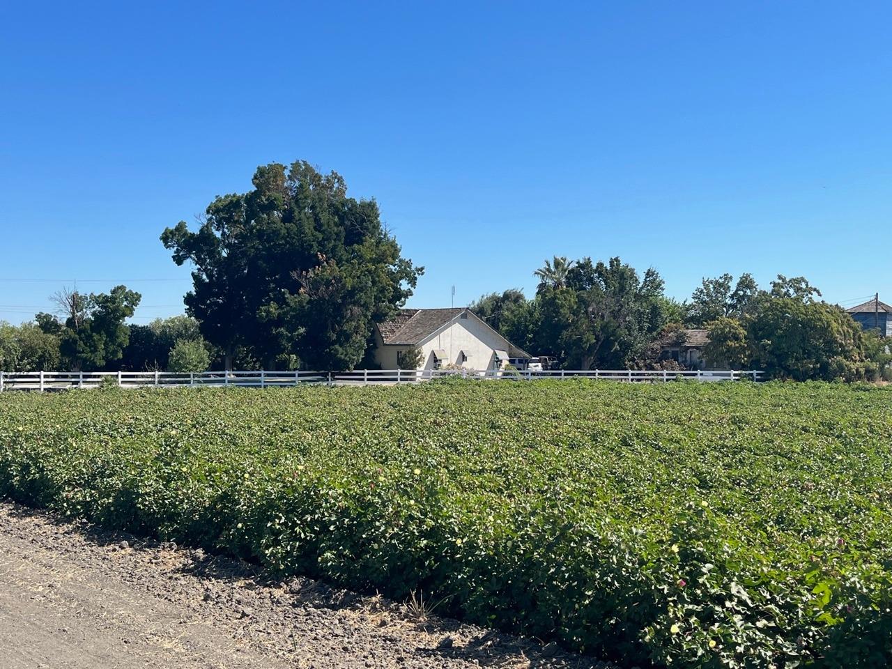 a view of house with a yard