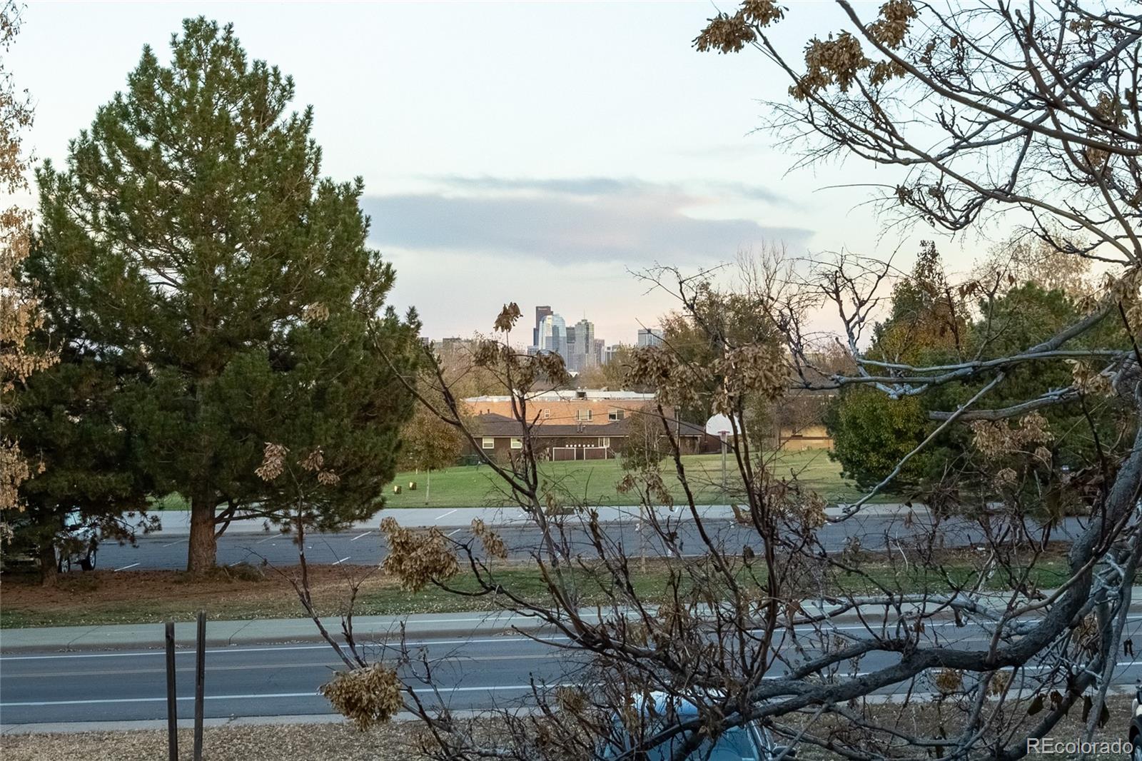 a view of a garden