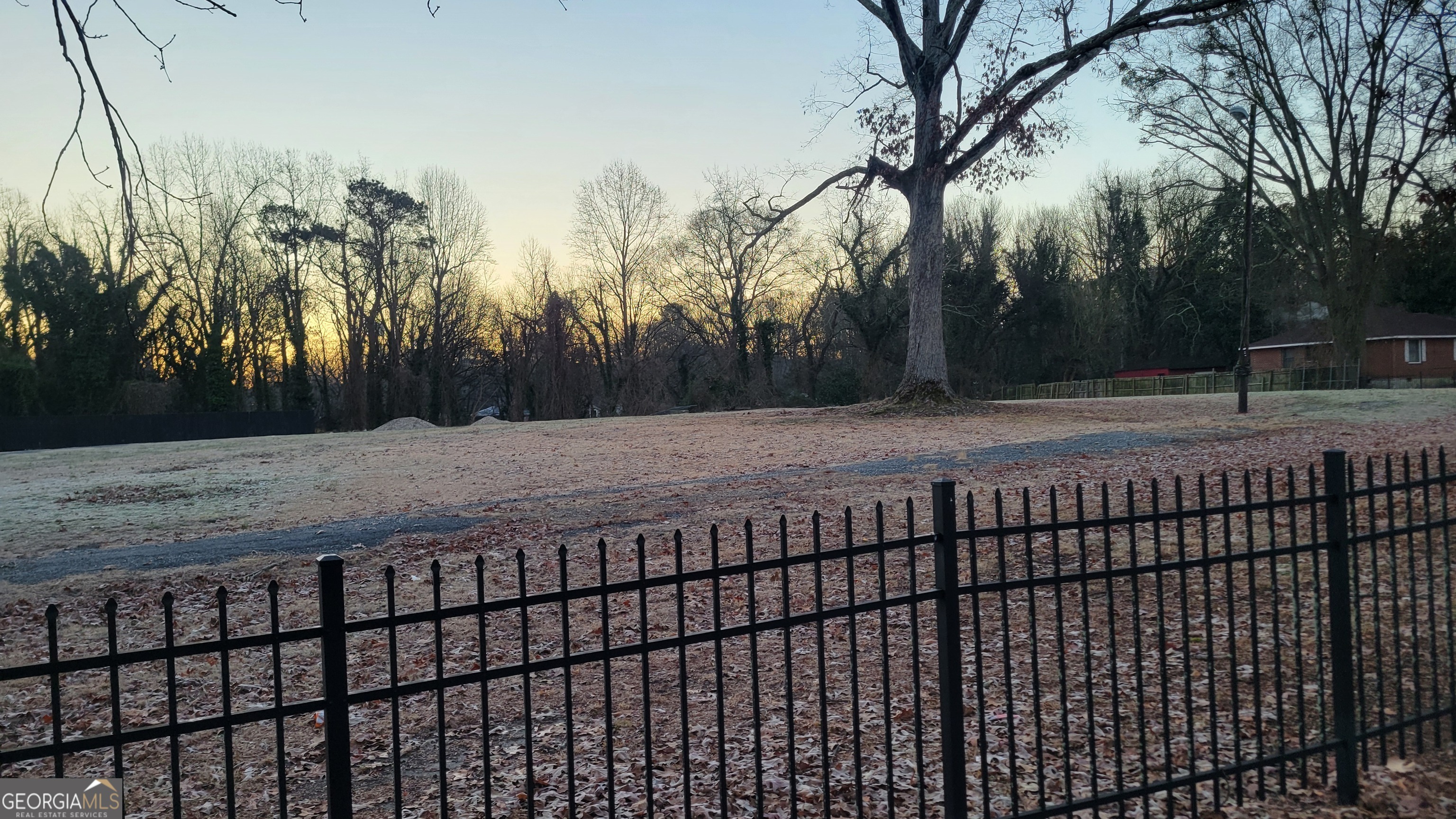 a view of a backyard