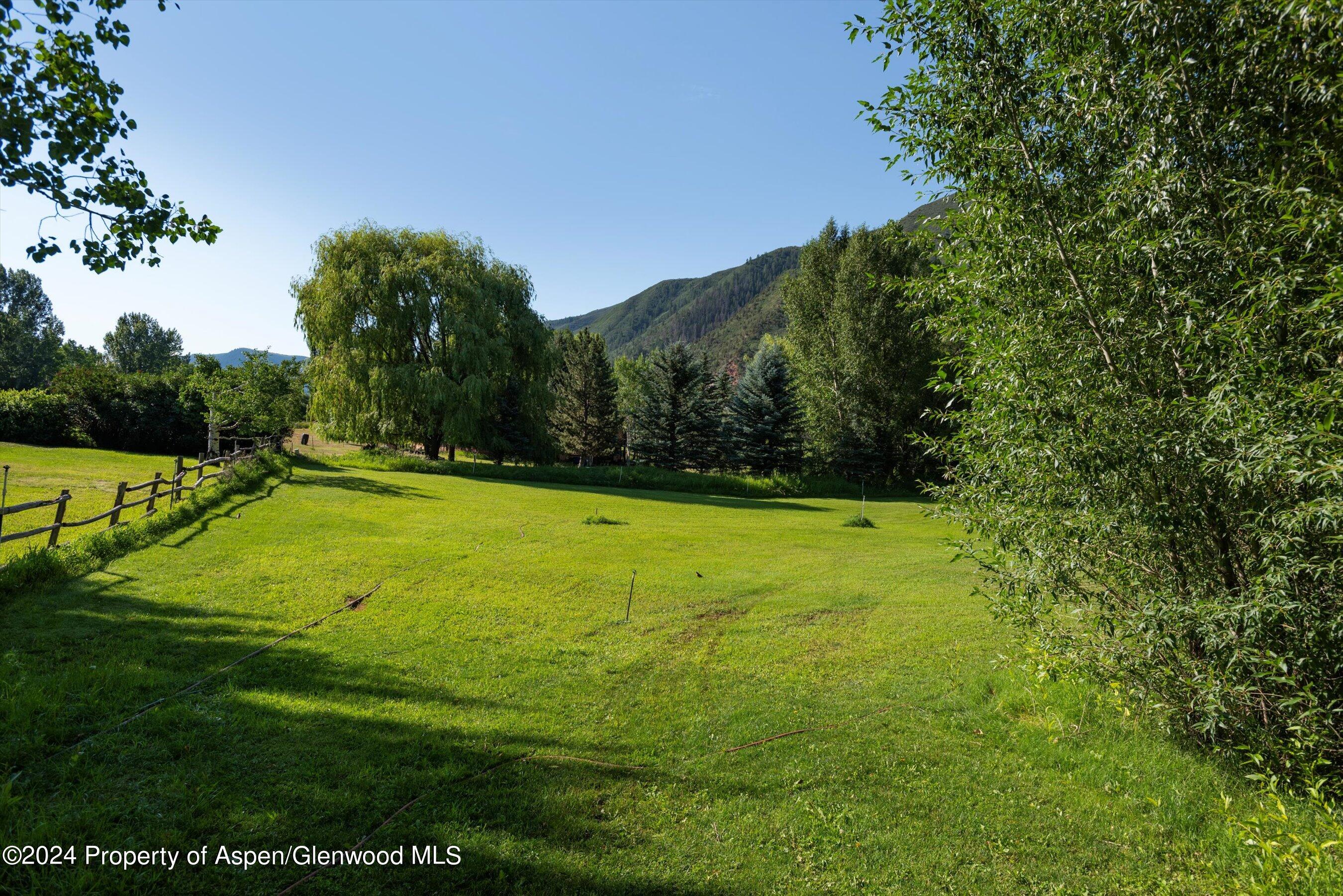 a view of a field with an trees