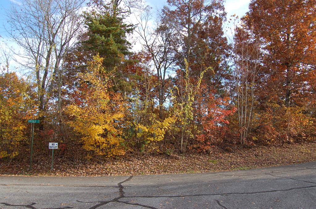 a view of a tree with big yard