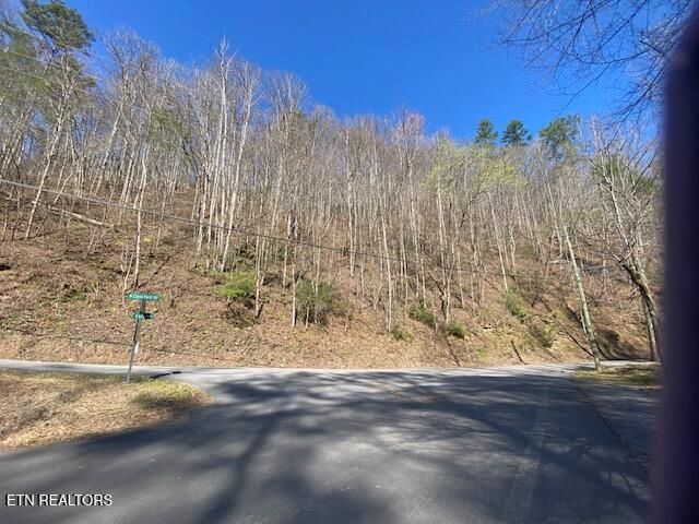 $24,900 | 2 North Clear Fork Road | Shagbark