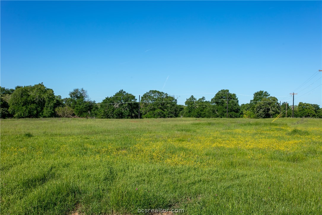 a view of a field of grass and trees