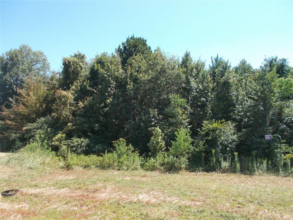 a view of a yard with trees