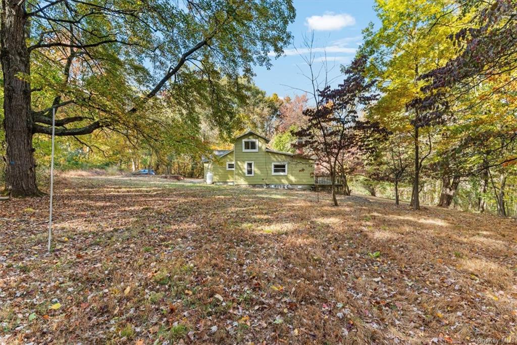 a view of yard with tree