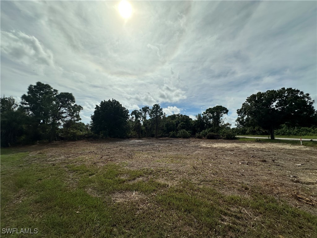 a view of a field with trees