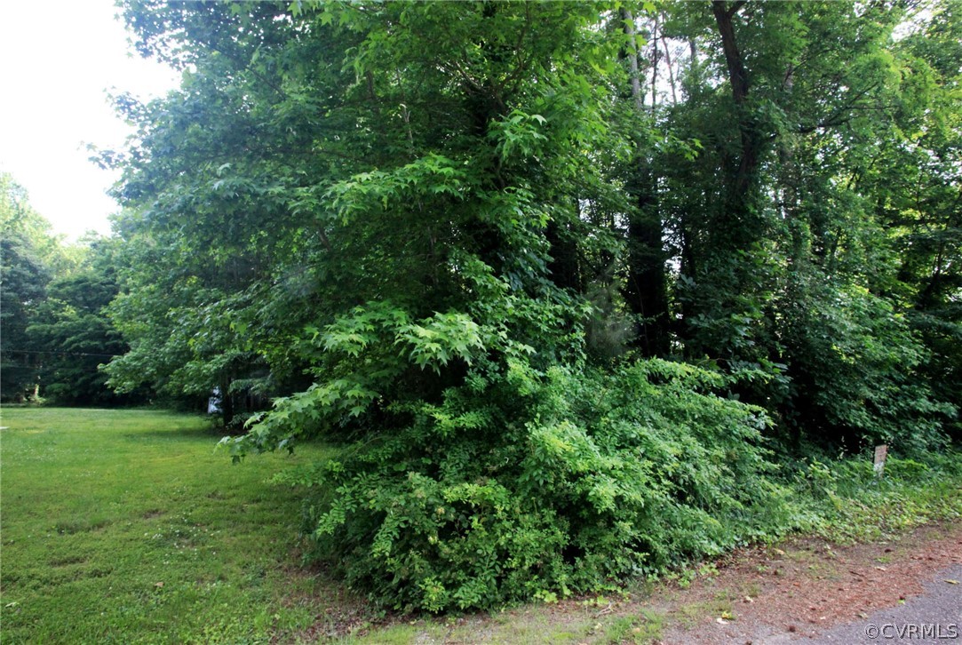 a view of a garden with a tree