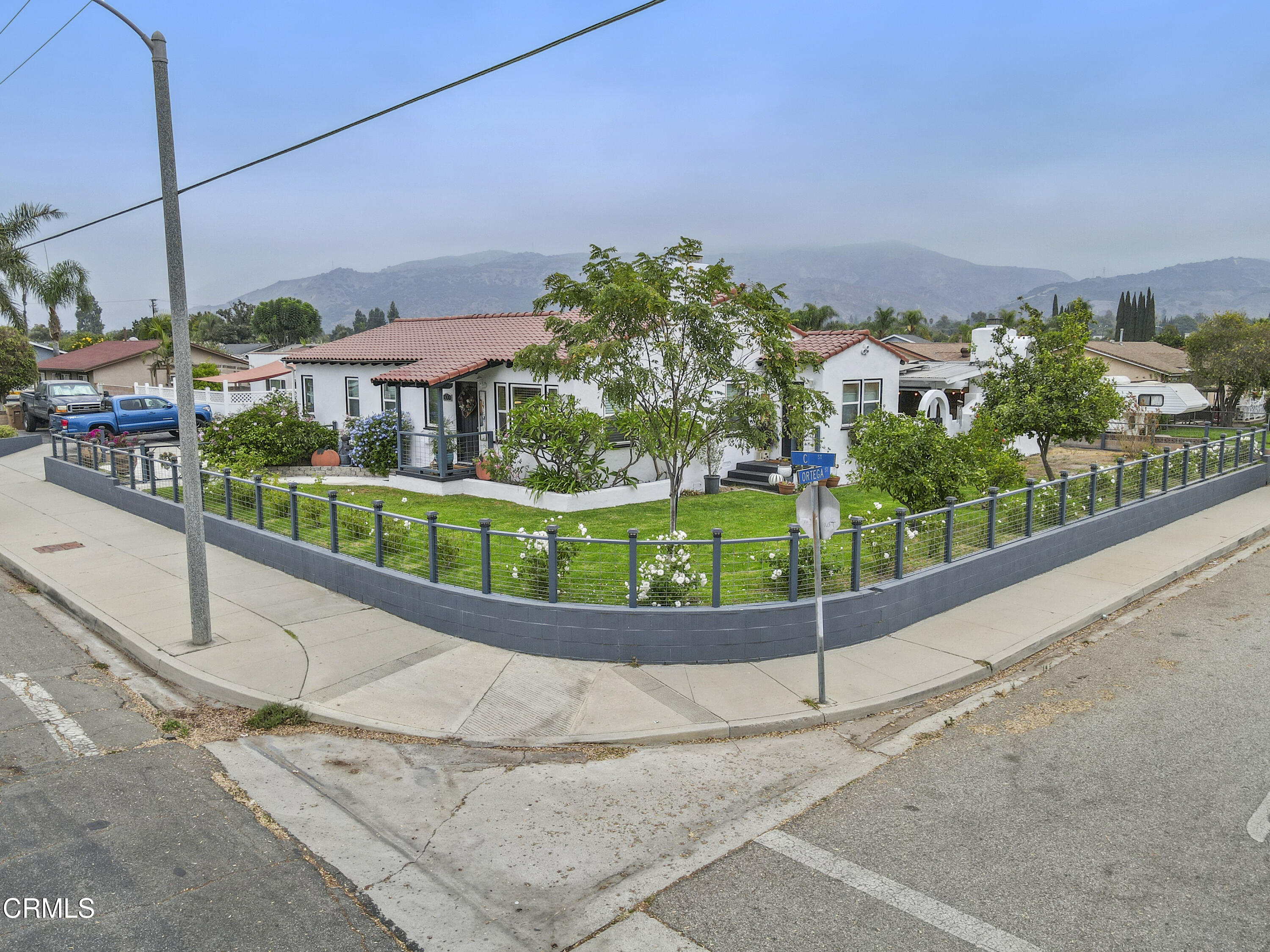 a view of a garden with a street