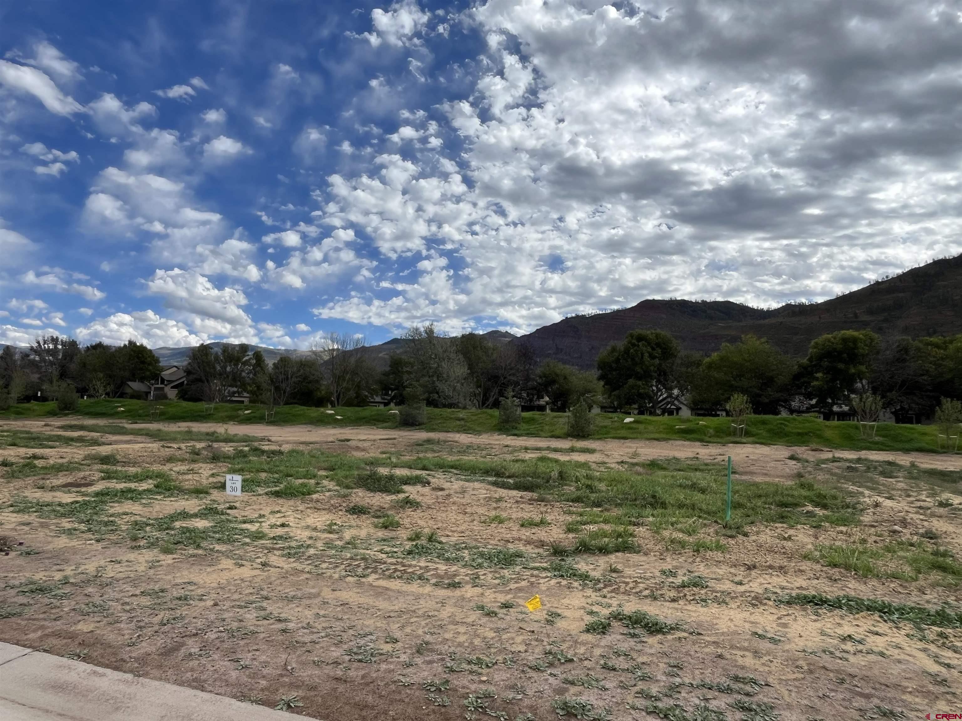 a view of field with trees in background