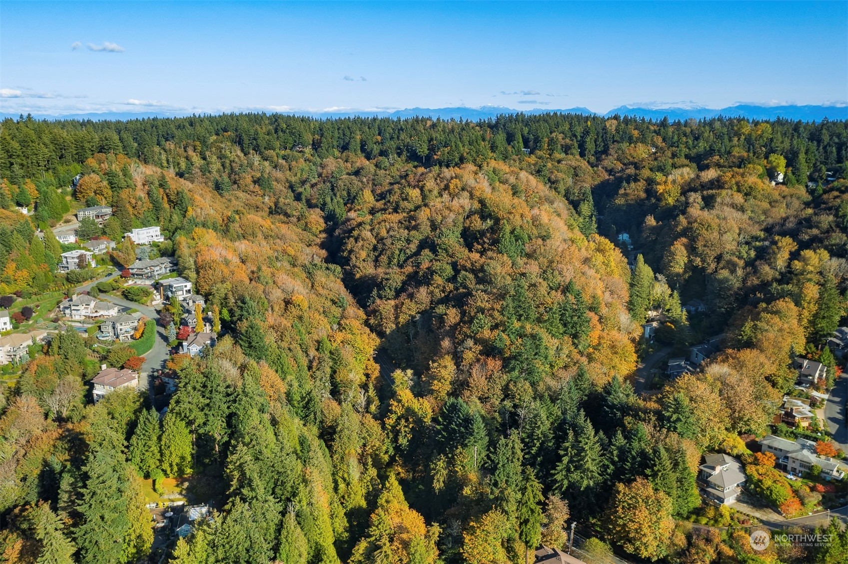 a view of a city with lots of trees