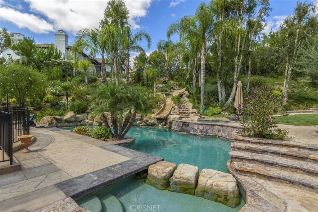 a view of a garden with plants