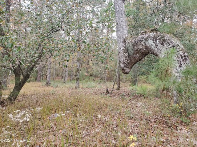 $35,000 | Lot 98 Waters Edge Drive | Chocowinity Township - Beaufort County