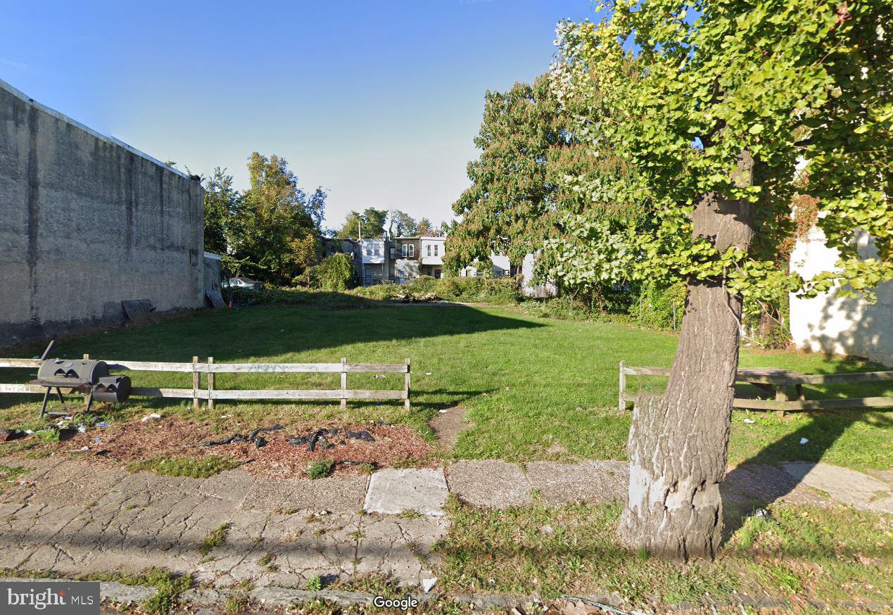 a view of a park with large trees