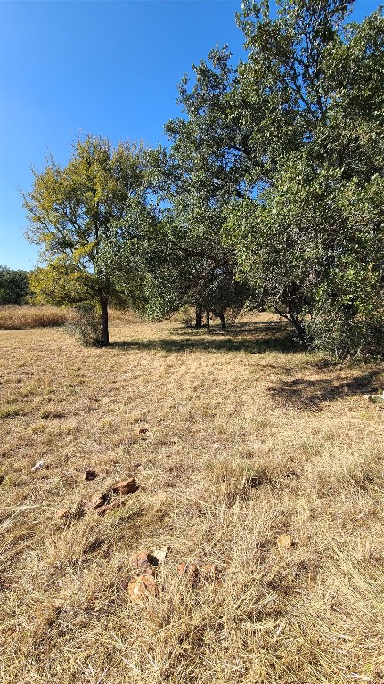 a view of a yard with a tree