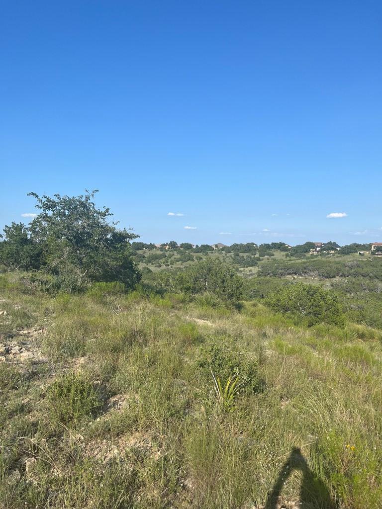 a view of a field with an ocean