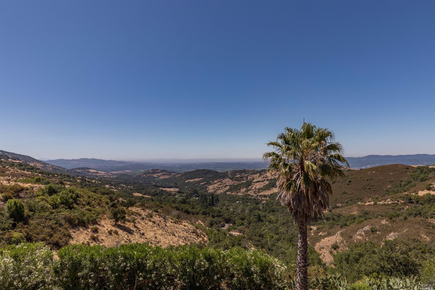 a view of a forest