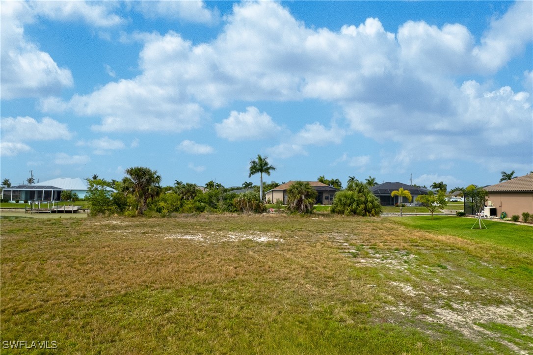 a view of a big yard with large trees