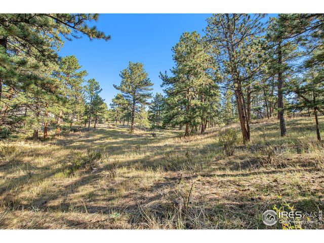 $325,000 | 0 Panorama Circle | Estes Park