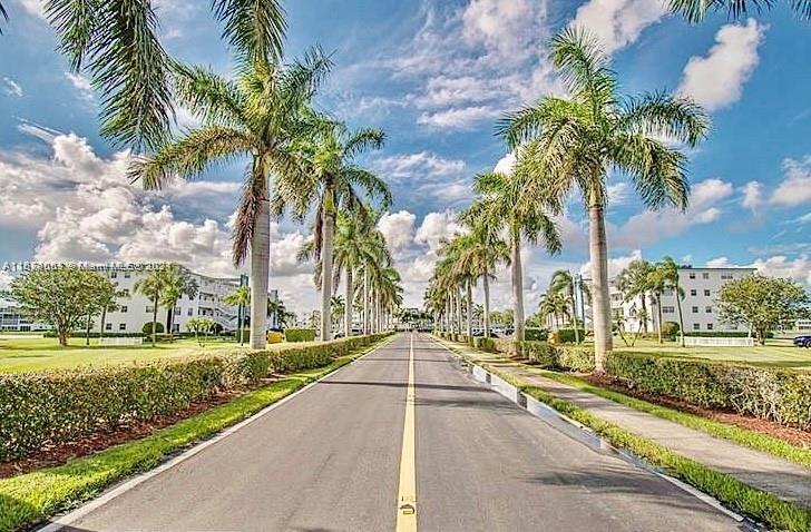 a park with palm trees