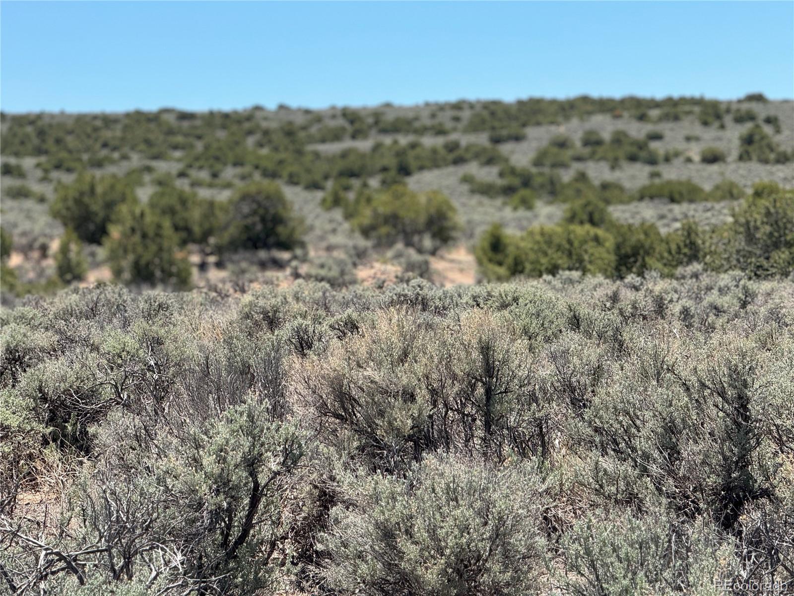 a view of a mountain in the distance