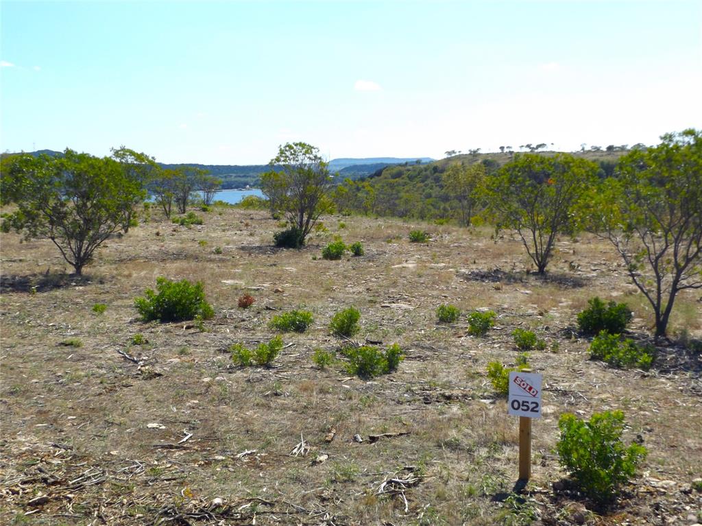 a view of a dry yard with trees