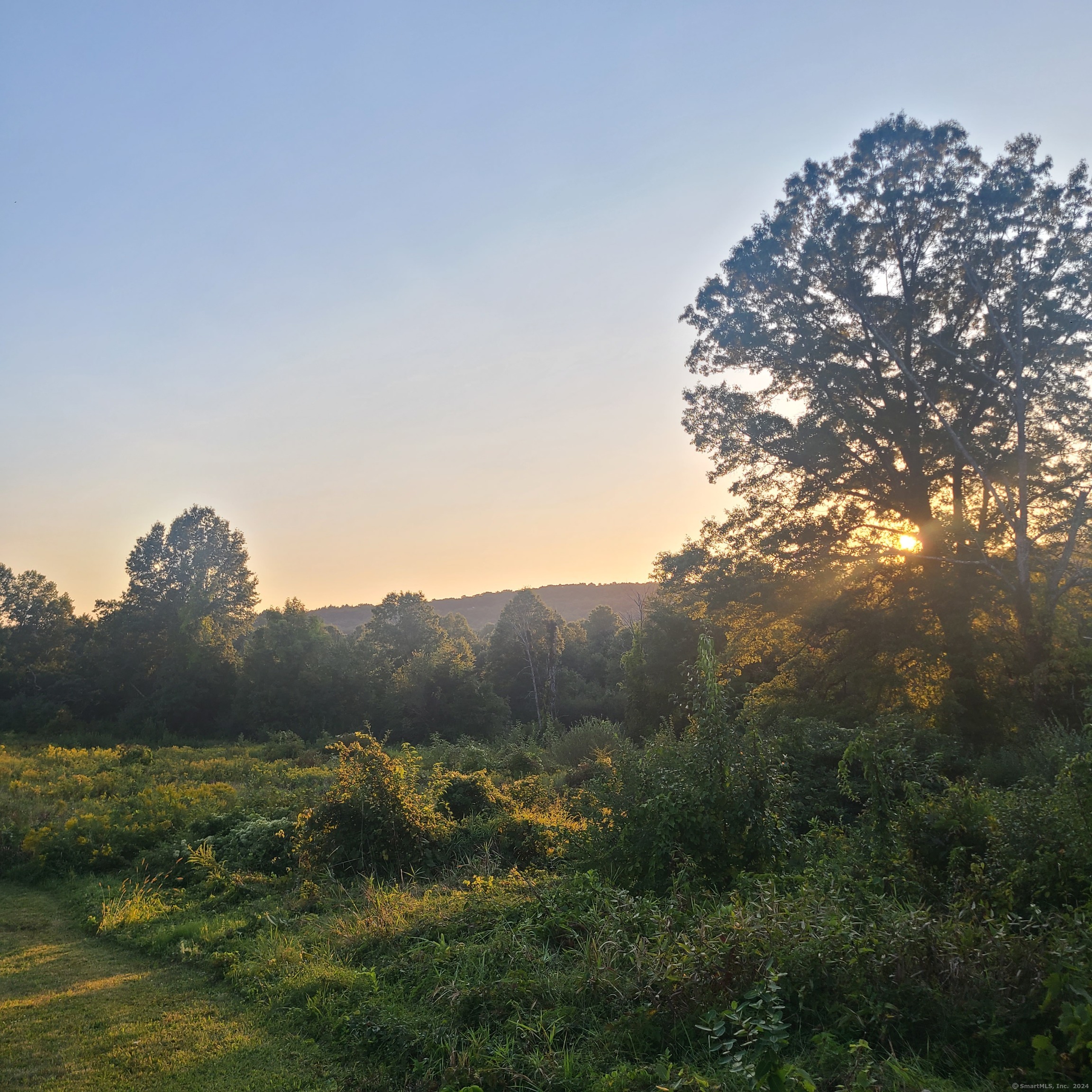 a view of a field of grass and trees