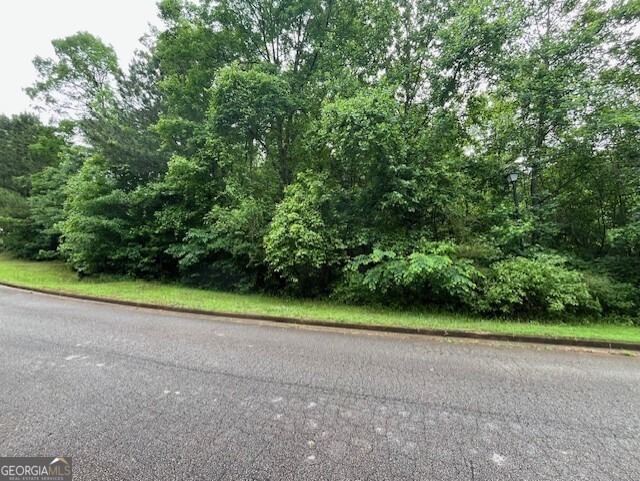 a view of a yard with a trees