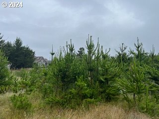 a view of a field with plants and trees in front of it