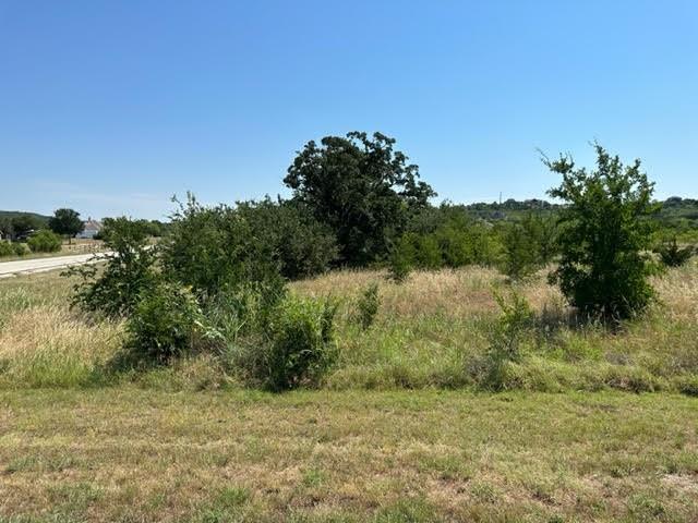 a view of a field with a tree in the background